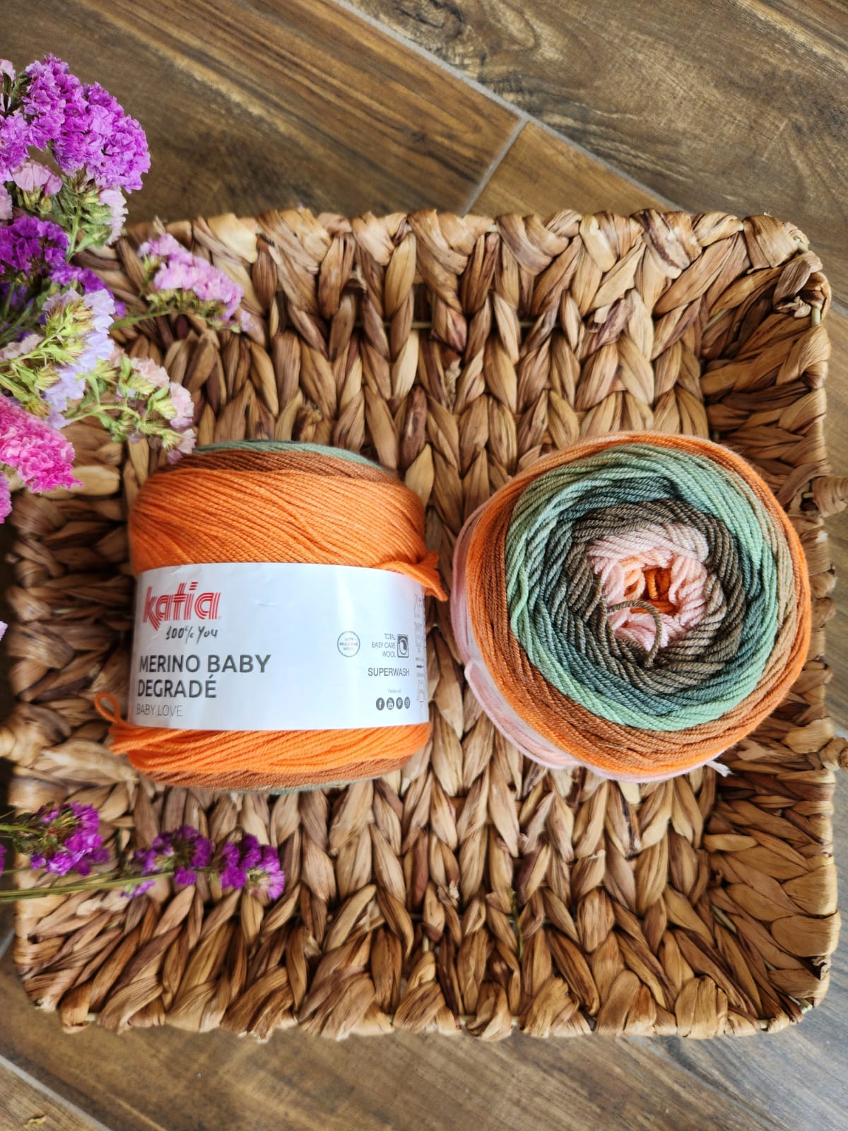 Merino baby degradé