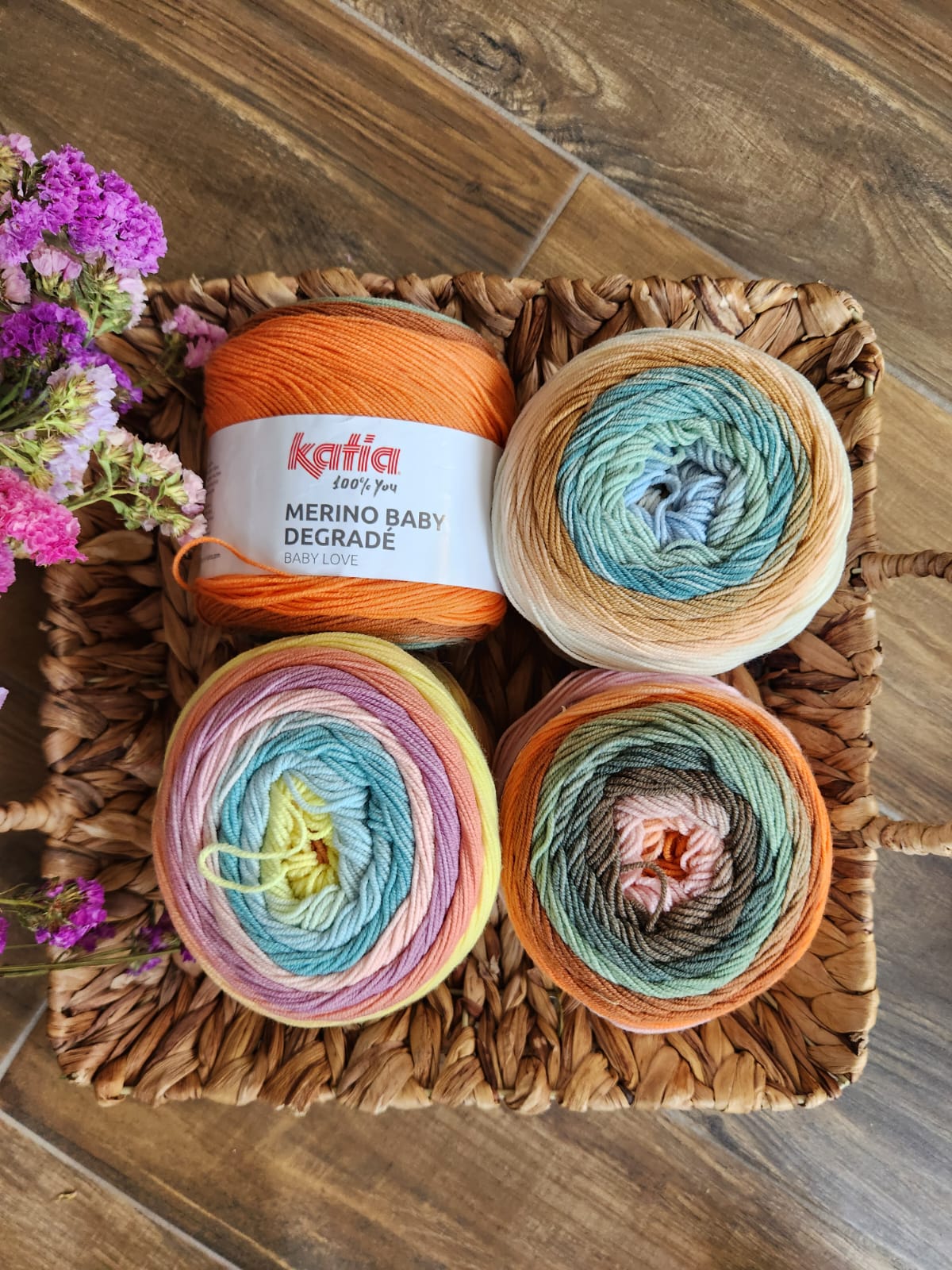 Merino baby degradé